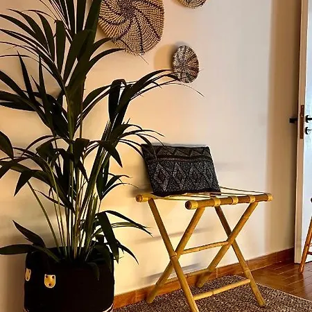 Hibiscus Naxos Apartment *