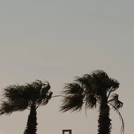 Hibiscus Naxos 아파트