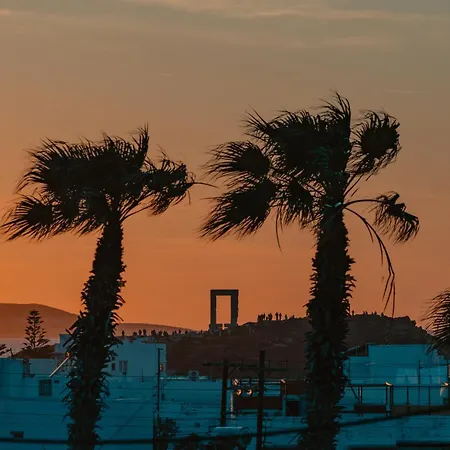 Hibiscus Naxos 아파트 Naxos City