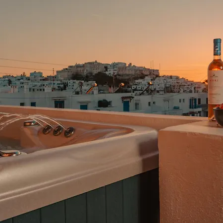 Hibiscus Naxos 公寓 Naxos City