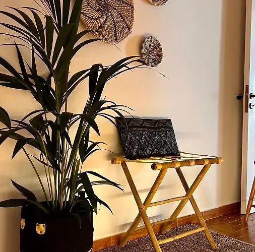 Hibiscus Naxos アパート *