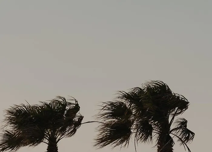 Hibiscus Naxos Lejlighed