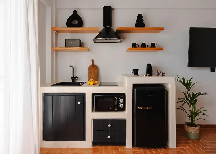 Hibiscus Naxos Lejlighed