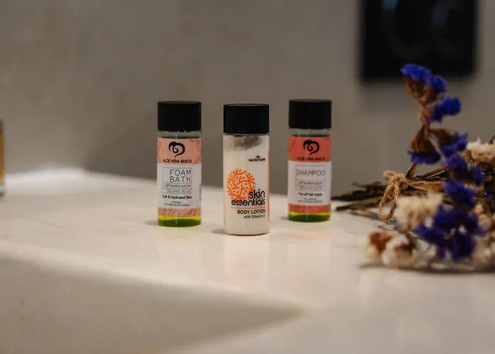 Hibiscus Naxos アパート Naxos City