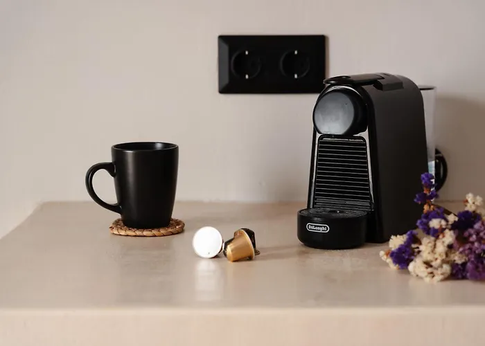 Hibiscus Naxos Naxos City