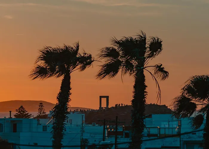 Hibiscus Naxos Lejlighed Naxos City